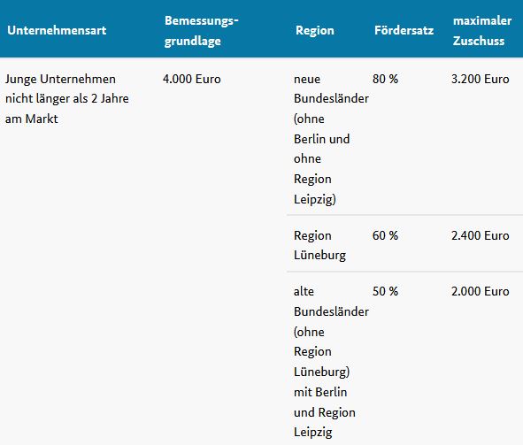 BAFA Junge Unternehmen